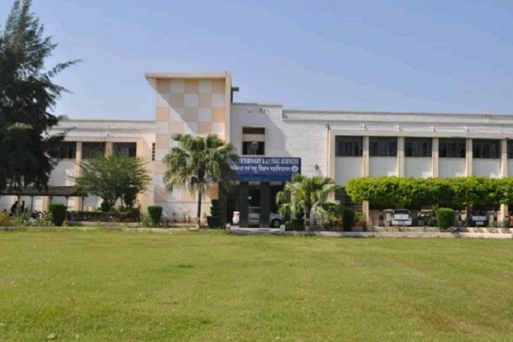 https://cache.careers360.mobi/media/colleges/social-media/media-gallery/19761/2019/5/4/College View of College of Veterinary and Animal Sciences Pantnagar_Campus-View.jpg